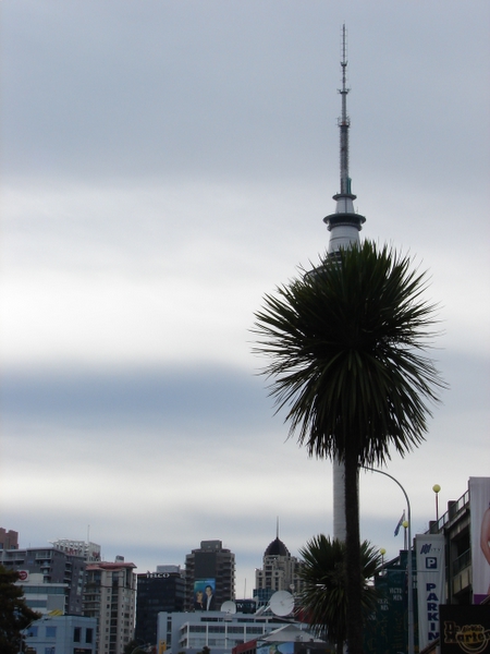 Sky Tower Goatie