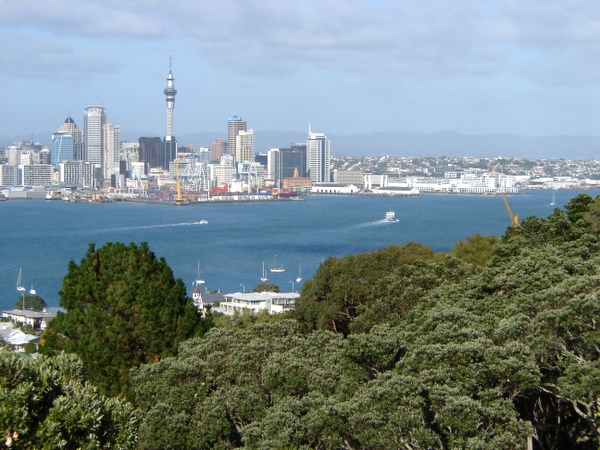 Auckland Skyline