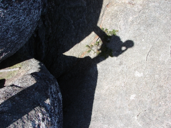 Silhouette #2