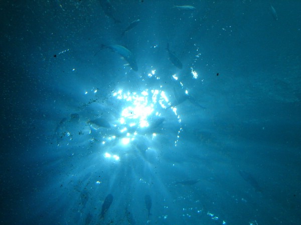Looking into the Light..