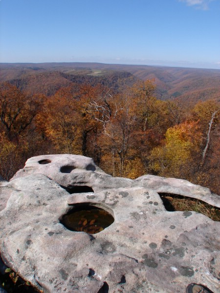 Fall Foliage